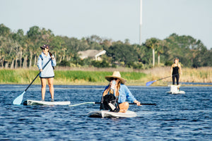 Beginner SUP Guide: Boards, Techniques, and Water Safety
