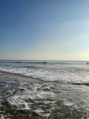 Learning to Surf in Ponte Vedra Beach