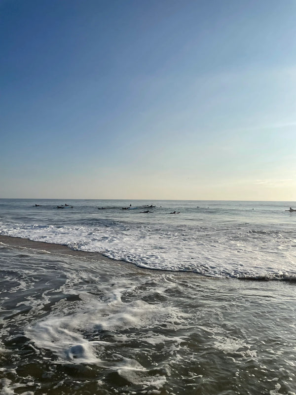 Learning to Surf in Ponte Vedra Beach