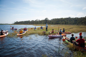 Where to Launch: A Paddler's Guide to the Waterways Around Ponte Vedra Beach