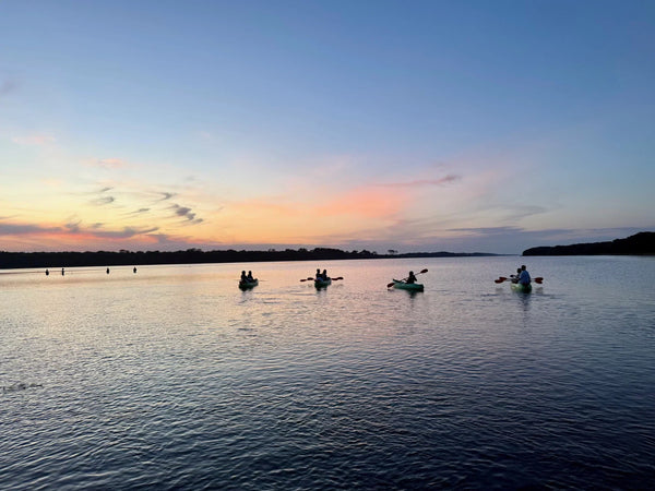 SUP vs. Kayak: Which is Right for Your Florida Adventure?