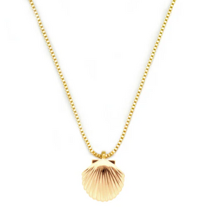 Gold necklace with a shell pendant on a white background