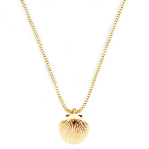 Gold necklace with a shell pendant on a white background