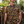 Marsh Wear Men's BreezeWeave Button Up