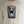 Salty Crew Women's Crabby Modern Tee