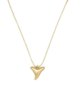 Shark Tooth Necklace