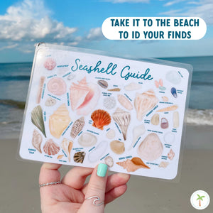 Seashell Guide Reference